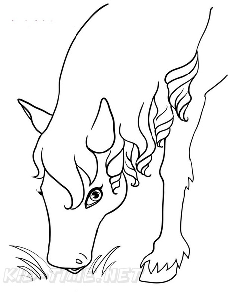 baby-animals-coloring-pages-094.jpg