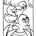 baby-animals-coloring-pages-106.jpg