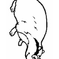 badger-coloring-pages-004.jpg