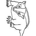 badger-coloring-pages-006.jpg
