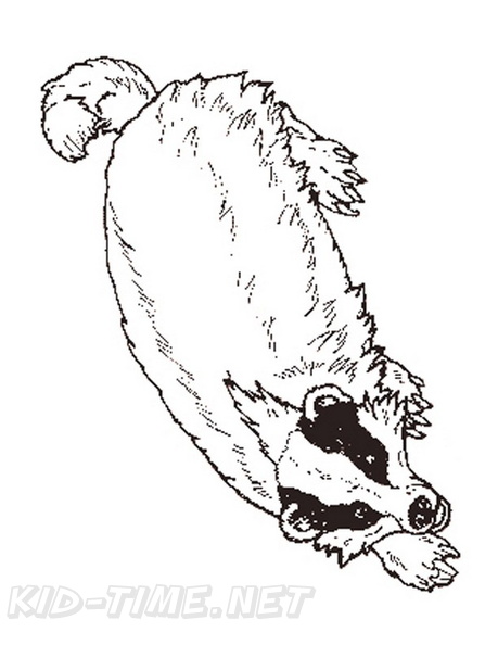 badger-coloring-pages-008.jpg