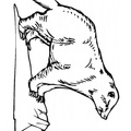 badger-coloring-pages-009.jpg
