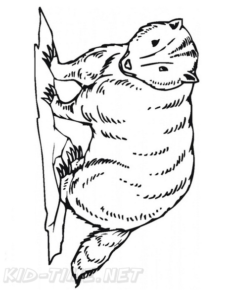 badger-coloring-pages-011.jpg