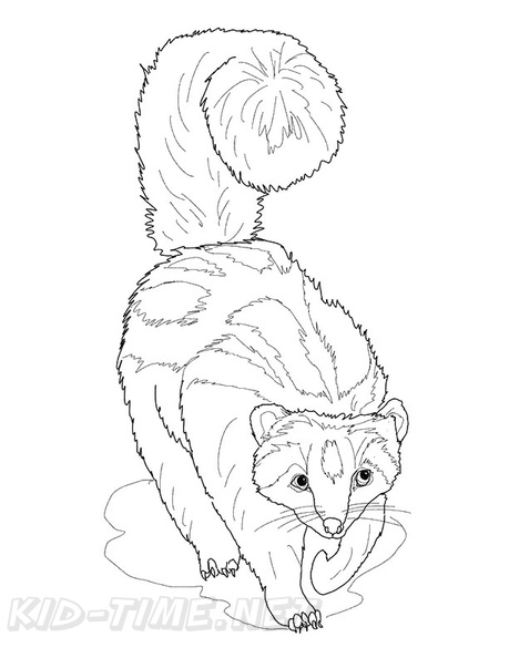 badger-coloring-pages-018.jpg