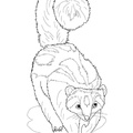 badger-coloring-pages-018.jpg