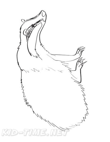 badger-coloring-pages-019.jpg