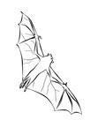 Bat Coloring Book Page