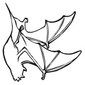 bat-coloring-pages-026.jpg