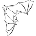 bat-coloring-pages-032.jpg
