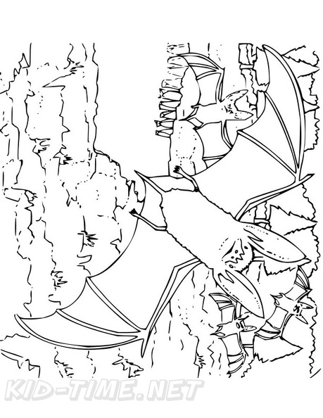 bats-coloring-pages-042.jpg