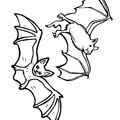 Bat Coloring Book Page