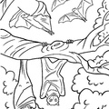 bats-coloring-pages-068.jpg