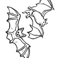 bats-coloring-pages-096.jpg
