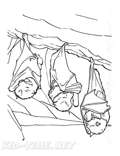 bats-coloring-pages-101.jpg