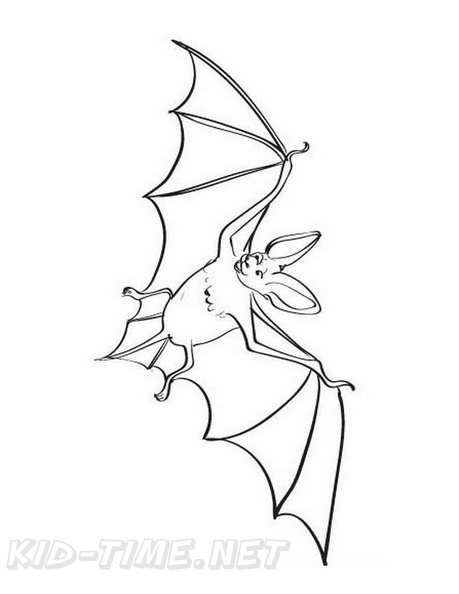 bats-coloring-pages-112.jpg