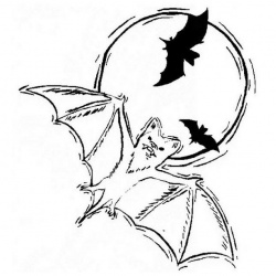 Halloween Bats