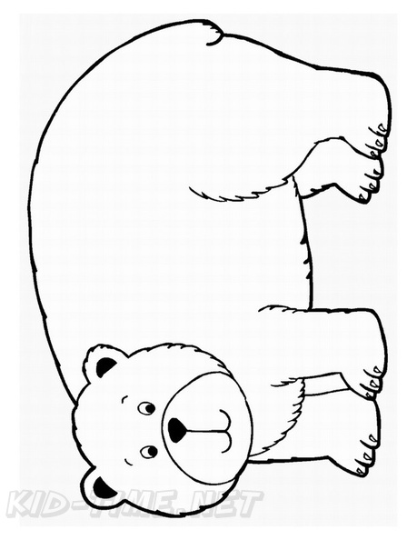 Black Bear Coloring Book Page
