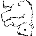 Black Bear Coloring Book Page