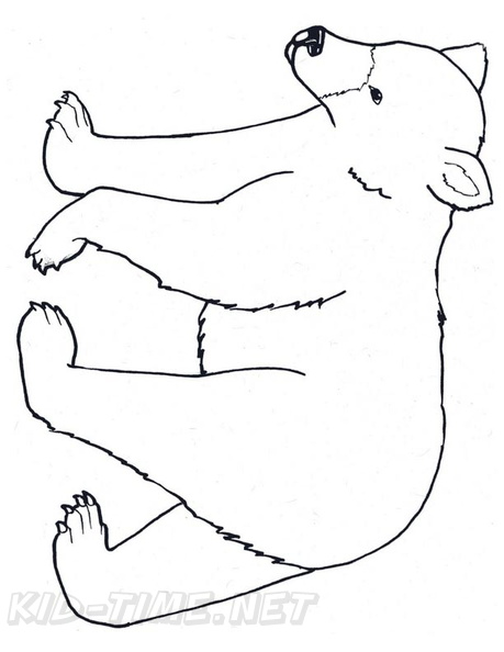 Black Bear Coloring Book Page