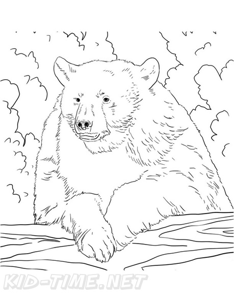 Black Bear Coloring Book Page