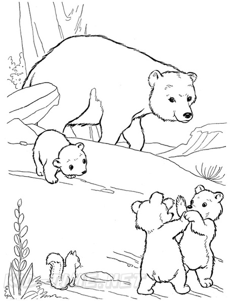 Brown_Bear_Coloring_Pages_003.jpg