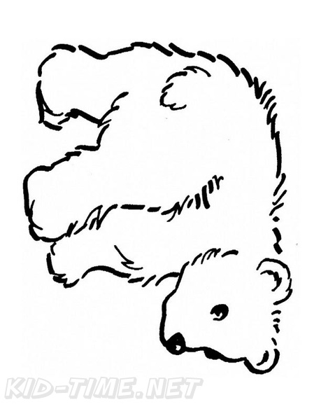 Brown Bear Coloring Book Page