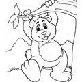 cute-bear-coloring-pages-2041