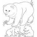 grizzly-bear-coloring-pages-007.jpg