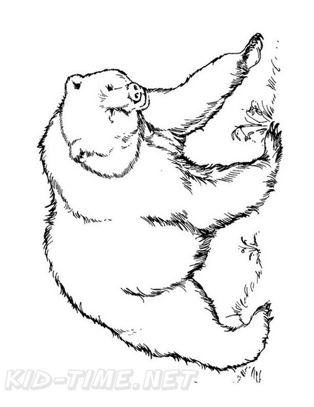 grizzly-bear-coloring-pages-015.jpg