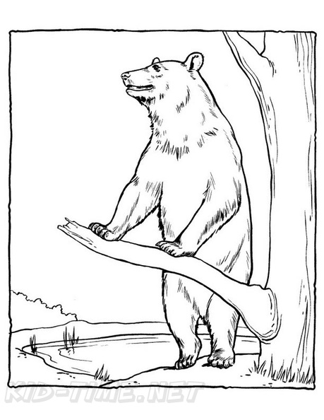 grizzly-bear-coloring-pages-020.jpg