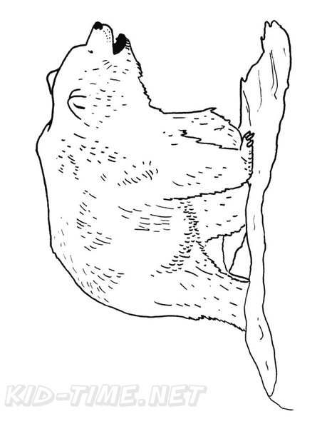 grizzly-bear-coloring-pages-021.jpg