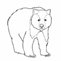 grizzly-bear-coloring-pages-032.jpg