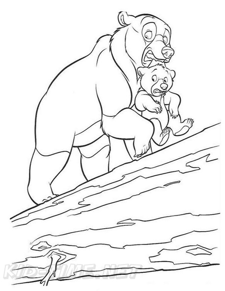 grizzly-bear-coloring-pages-052.jpg