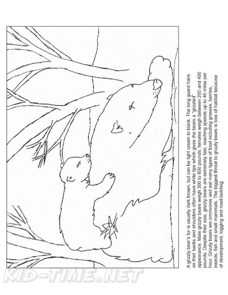 grizzly-bear-coloring-pages-074.jpg