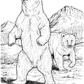 grizzly-bear-coloring-pages-076.jpg