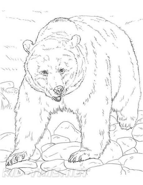 grizzly-bear-coloring-pages-077.jpg