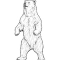 grizzly-bear-coloring-pages-082.jpg