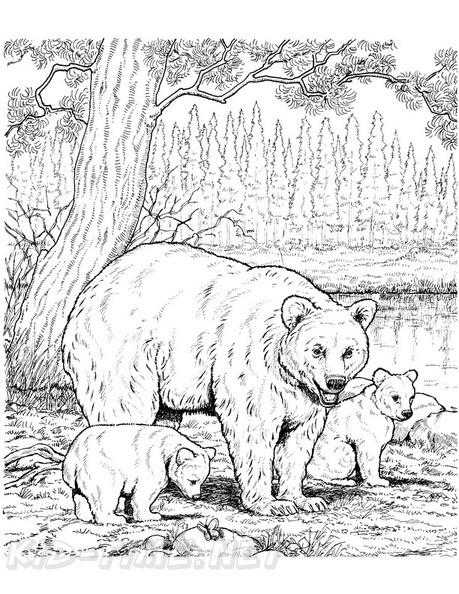 grizzly-bear-coloring-pages-093.jpg