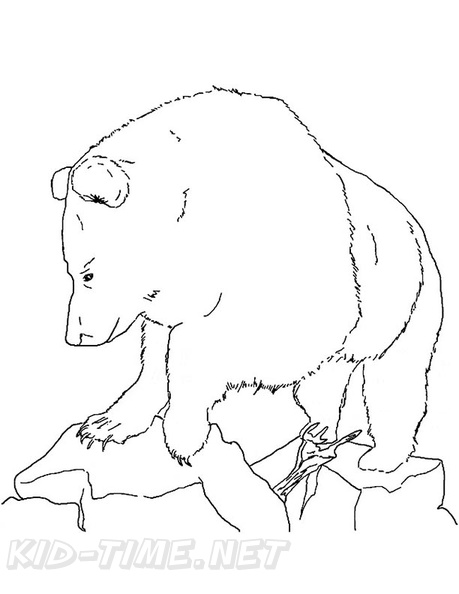 grizzly-bear-coloring-pages-107.jpg