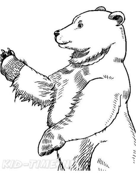 grizzly-coloring-pages-2002.jpg