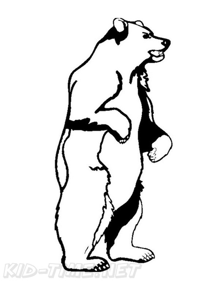 Grizzly Bear Coloring Book Page