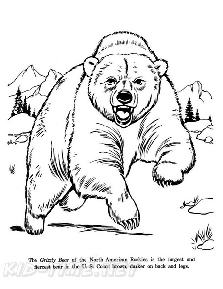 grizzly-coloring-pages-2022.jpg