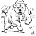 grizzly-coloring-pages-2022.jpg