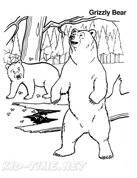 Grizzly Bear Coloring Book Page