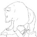 grizzly-coloring-pages-2037.jpg