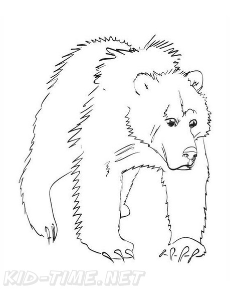 grizzly-coloring-pages-2055.jpg