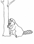 Beaver Coloring Book Page