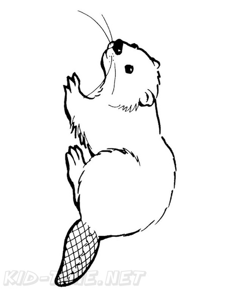 beaver-coloring-pages-008.jpg