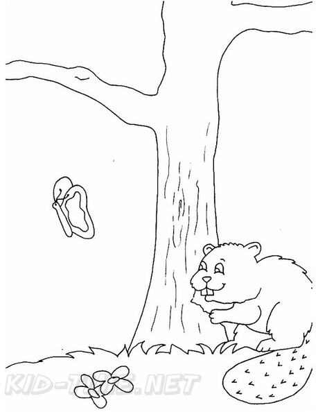 beaver-coloring-pages-019.jpg