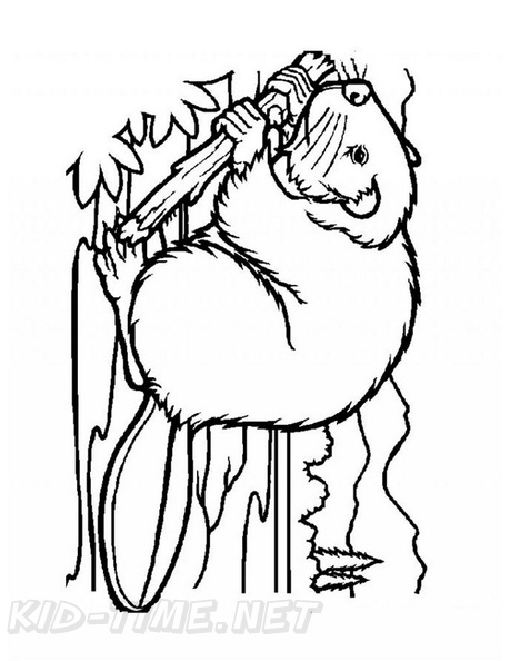 beaver-coloring-pages-022.jpg